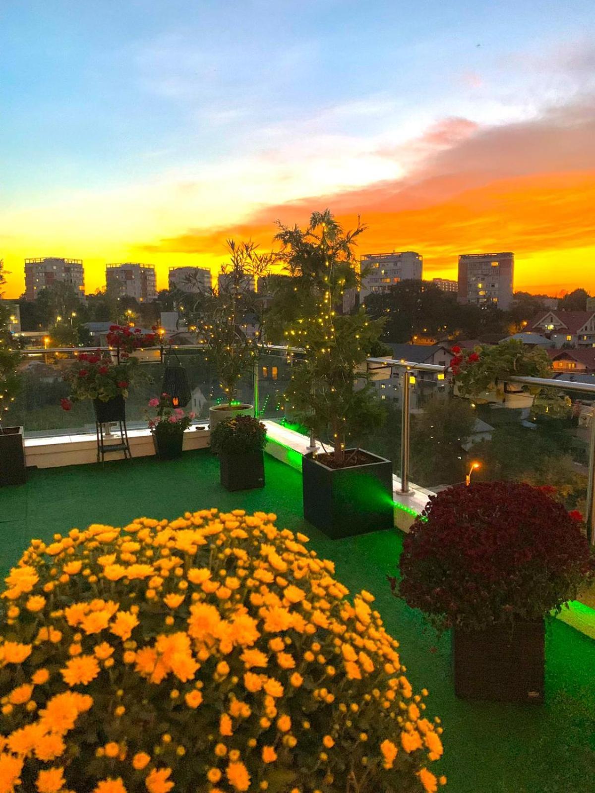 Апартаменты Penthouse Aeroport Яссы Экстерьер фото